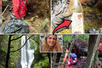 🧭💔 Signs of Survival Found? Searchers Believe Céline Cremer Built a Makeshift Shelter — New Twist in Céline Cremer Mystery Stuns Searchers 🏕️🕯️
