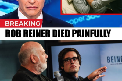 Chilling Details Emerge in Rob Reiner Double Murder Case as Son Faces Charges