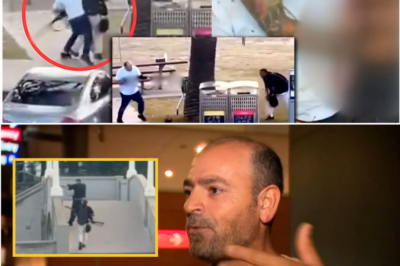 😮👏 No Training, No Weapons — ‘I Didn’t Think, I Just Ran’ Fruit Shop Owner Stops Suspected Shooting at Bondi Beach, Video Goes Viral