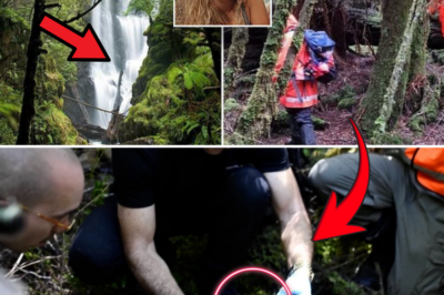 Phone Signal from Missing Hiker’s Device Leads Cops to Terrifying Forest Depths After 2 Years!