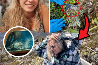 Breakthrough After 2.5 Years: Missing Belgian Hiker’s Phone Found Deep in Tasmanian Wilderness – Police Reveal Chilling New Details from Recovered Data!