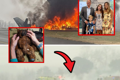 😢💔 SHOCKING UPDATE in NASCAR legend Greg Biffle’s heartbreaking plane crash: Investigators just found his young son’s charred teddy bear in the wreckage – burned black from the flames… but hidden INSIDE was a secret voice recorder! 😱