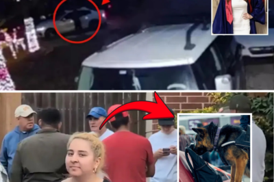 Texas Teen Vanishes on Christmas Morning – Now Feared in “Imminent Danger” as Probe Hints at International Twist