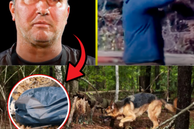 SHOCKING LAST SIGHTING: Missing Coach Travis Turner GRABBED a MYSTERIOUS Black Bag at the Corner Store – Then POOF into the Woods! 😨