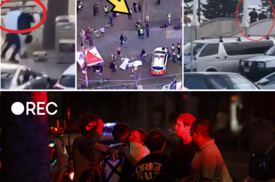 Bondi Beach Horror: Beachgoers Mistook Gunshots for Fireworks as Terror Unfolded – Eyewitnesses Reveal the Chilling Moment Paradise Turned to Panic
