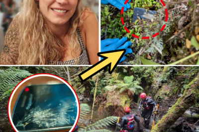 Chilling Breakthrough: Missing Belgian Hiker’s Lost Phone Uncovered After 2.5 Years in Tasmanian Wilderness – What Was Her Final Message at 9:24 AM?