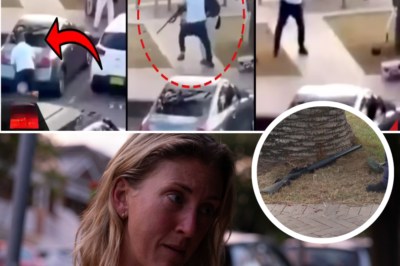 😱 SHOCKING moment a brave fruit seller TACKLES a Bondi Beach gunman, wrestles his rifle away in a life-or-death struggle—and the shooter whispers THREE CHILLING WORDS before dropping the weapon and running! 🦸♂️💥
