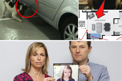 Shocking Sniffer Dog Alerts Turn Madeleine McCann’s Parents into Prime Suspects – But Explosive Camera Evidence Clears Them in Jaw-Dropping Twist!