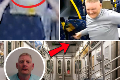 Buckfast Berserker’s Bloody Rampage: Drunk Thug’s Insane Train Assault Leaves Victim Fighting for Life – Hero Woman’s Desperate Stand Fails in Seconds!
