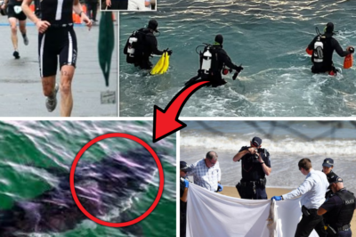 Grim Discovery in Monterey Bay: Body of Woman Found Near Site of Suspected Shark Attack, Reigniting Questions About Missing Swimmer Erica Fox