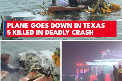 Tragic End to Humanitarian Flight: Six Lives Lost, Including a Toddler, in Mexican Navy Plane Crash Near Galveston
