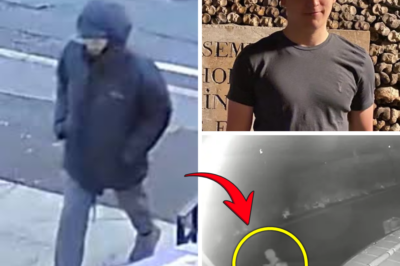 A Tragic Christmas Discovery: The Heartbreaking End to the Search for Missing Student Tom Dingle