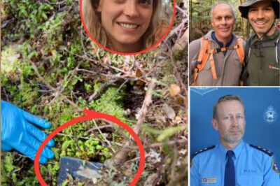 “We Have the Additional Information Needed to Find Celine!” — Tasmanian Police Reopen Full-Scale Search for Missing Belgian Tourist After Shock Phone Discovery Sends Shockwaves