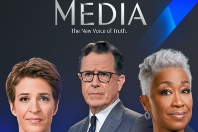 Maddow, Colbert, and Reid Back Independent Newsroom — and Corporate Media Is Watching Closely