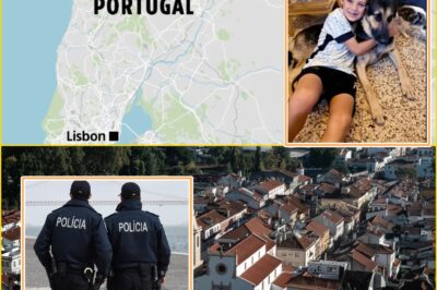 ‘We’re So Sorry, He Was a Monster’: Grieving Grandmother’s Heart-Wrenching Tribute to 13-Year-Old Alfie Hallett as Police Reveal Suspect’s Chilling Violent Past