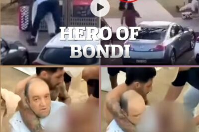 “I Only Wanted to Save My Fellow Countrymen…!” – The Quiet Fruit Seller Who Became Bondi Beach’s Unlikely Hero in a Night of Hanukkah Horror