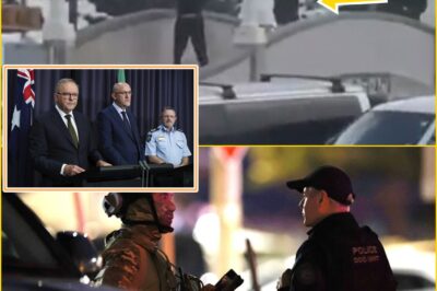 “The Truth Is Finally Coming Out”: Police Reveal the Identities of the Two Bondi Beach Gunmen — And the Real Motive Behind the Attack Is Sparking Public Outrage