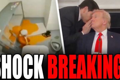 Viral Epstein ‘Jail Cell Footage’ Turns Out to Be Old Fake in Latest DOJ File Dump