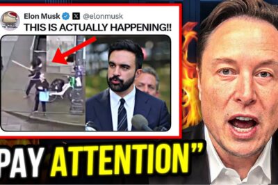 Elon Musk’s Bold Claims: Questioning Zohran Mamdani’s Rise and Allegiances