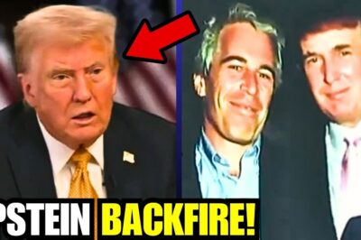 Trump’s Chief of Staff Susie Wiles Ignites Firestorm with Revelations on Epstein Files, Challenging President’s Claims on Clinton