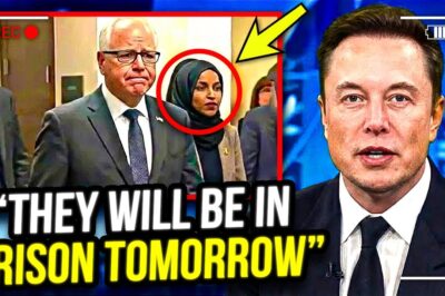 Elon Musk Spotlights Alleged Somali Fraud Scheme in Minnesota Amid Federal Probes