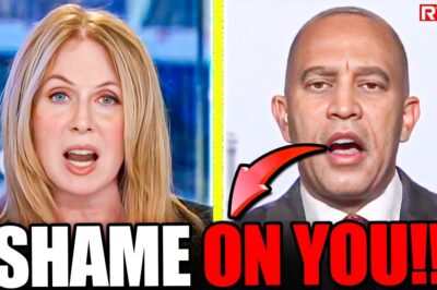 CNBC Host’s Fiery Takedown of Hakeem Jeffries Sparks Outrage Over Obamacare Extension Standoff