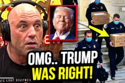 Joe Rogan’s Podcast Clip Ignites Fresh Debate Over 2020 Election Irregularities in Georgia
