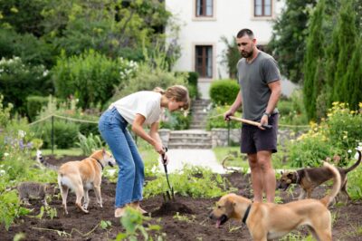 Inside Taylor Swift & Travis Kelce’s Dreamy Home Garden: From Flowers to Fresh Veggies and Adorable Pets!