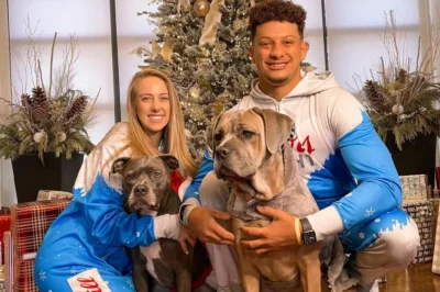 Patrick Mahomes and Brittany’s Heartwarming Rescue: Adopting 23 Dogs from a Shelter on the Brink – With a Secret Code Only Their Son Can Crack 🐶❤️