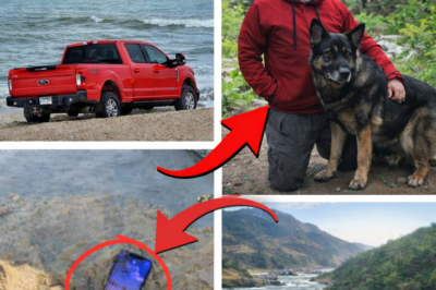New Evidence Suggests Missing Arkansas Man Chris Palmer and Dog Zoey May Be in Mountains; Truck and Phone Reportedly Stolen, Raising Concerns Over Phone Location Data