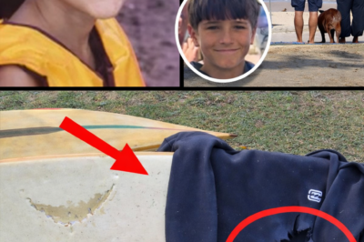 Mysterious Marks on Shirt Spark Online Speculation in Tragic Sydney Harbour Shark Attack Death of 12-Year-Old Nico Antic