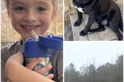 Loyal Dog Stays Vigil Over Missing Alabama Boy’s Body as Father Faces Unrelated Charges in Heartbreaking Case