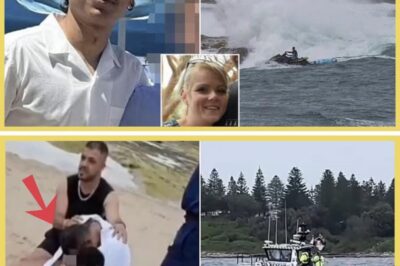 ‘This Changes Everything’: Tiger Shark Sightings Add Grim Layer to Ongoing Searches for Missing Teen and Young Man Off Sydney Beaches