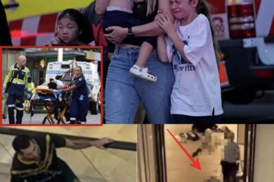 Heroic Mother’s Final Act Saves Baby During Deadly Sydney Mall Stabbing Rampage