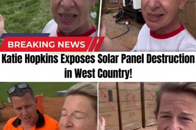 Katie Hopkins’ Confrontational Video Sparks Debate Over Solar Farms’ Impact on UK Countryside and Environment