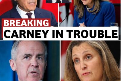 Freeland’s Resignation Deals Blow to Carney’s Minority Government, Triggering Byelection and Heightening Political Instability