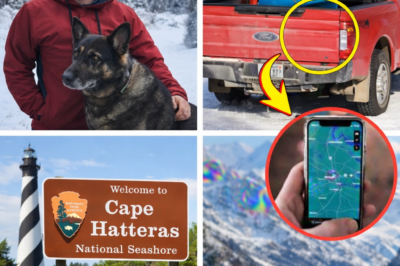 Officials Believe Missing Arkansas Man Chris Palmer May Still Be in Outer Banks Area, Possibly Intentionally Hiding