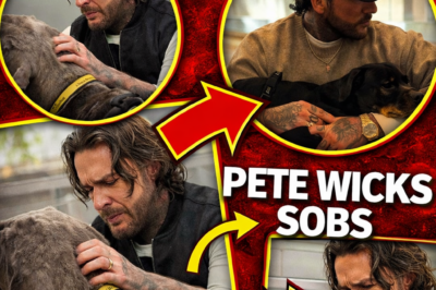 Pete Wicks’ Surprising Rise as the Face of For Dogs’ Sake Turns Heads and Tugs Heartstrings