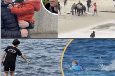 🌊💔 Australia Hailed Him a Hero After the Shark Attack—Now His Parents Reveal the Devastating Cost He Lives With