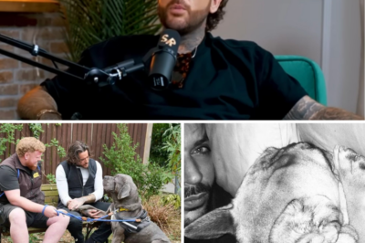 Heartbreaking Vow from Strictly Star Pete Wicks: “I’d Spend Every Last Penny to Find My Beloved Dog I Accidentally Lost Three Years Ago”