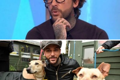 Pete Wicks’ Heart-Wrenching New Mission: Adopting 150 Dogs from Slaughter – But He Fears He May Not Have the Strength Left