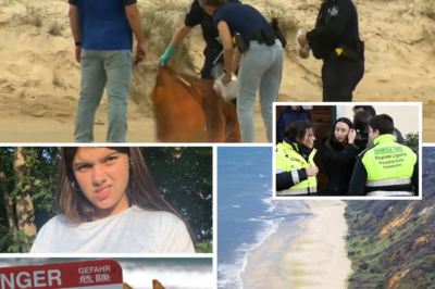 Dingo Horror Unravels: Autopsy Shocks Family – Piper James Bitten ALIVE Before Mysterious Drowning – What Are Police Hiding?