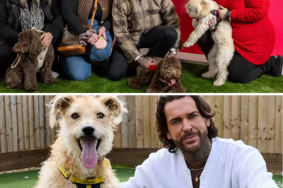 Pete Wicks Rings In the New Year With 170 Dogs — and a Reality Show You Won’t See Coming