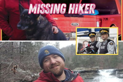 Heartbreaking End: Rescue Teams Halt Search for Missing Chris Palmer After Family’s Tearful Request – What Really Happened?