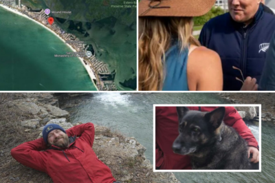 Chilling Midnight Sighting: Witness Hears Frantic Dog Barking – Then Spots Chris Palmer’s Ghostly Figure on Deadly Cliff Edge! What Really Happened That Night?