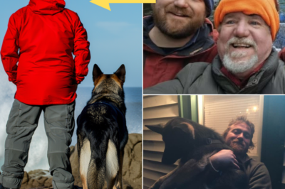 The Moment Before the Unknown: Witnesses Describe Chris Palmer Standing Motionless by the Sea