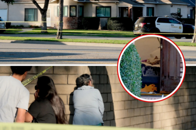 Dad Executes Wife & Daughter in Cold Blood… Then Turns G.u.n on Surviving Teen Right in Front of Her – Family’s Heartbreaking Reaction Revealed 😱