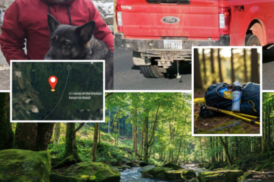 BREAKING: Chris Palmer’s Phone Just FLASHED Back to Life for 2 Heart-Stopping Seconds – Is the Missing Hiker Still Out There Fighting? Cops Say: “We Think He’s Alive”