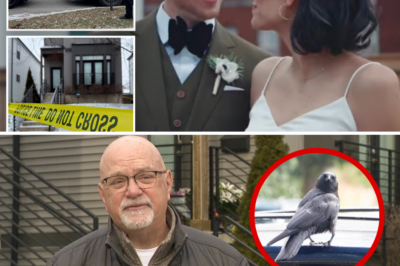 Haunting Footage Emerges: Crows’ Relentless Cries Echo for Two Hours Outside the Home Where a Dentist and His Wife Were Brutally Gunned Down