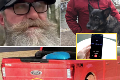 CHILLING FINAL WORDS REVEALED: Police Release Haunting Audio of Missing Camper Christopher Lee Palmer’s Last Family Chat – Search Officially Halted After Heartbreaking Discovery!